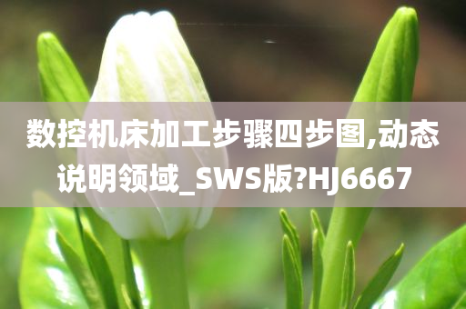 数控机床加工步骤四步图,动态说明领域_SWS版?HJ6667