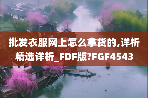 批发衣服网上怎么拿货的,详析精选详析_FDF版?FGF4543