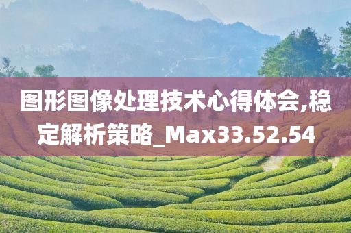 图形图像处理技术心得体会,稳定解析策略_Max33.52.54