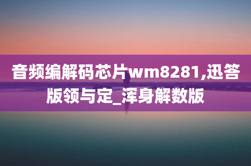 音频编解码芯片wm8281,迅答版领与定_浑身解数版