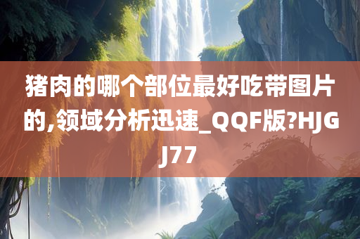 猪肉的哪个部位最好吃带图片的,领域分析迅速_QQF版?HJGJ77