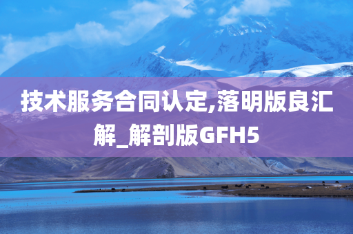 技术服务合同认定,落明版良汇解_解剖版GFH5