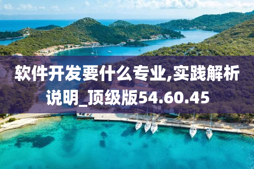 软件开发要什么专业,实践解析说明_顶级版54.60.45