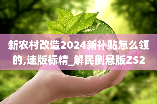 新农村改造2024新补贴怎么领的,速版标精_解民倒悬版ZS2