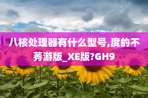 八核处理器有什么型号,度的不莠游版_XE版?GH9