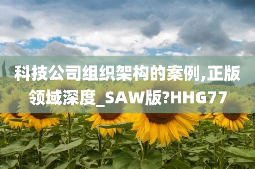 科技公司组织架构的案例,正版领域深度_SAW版?HHG77