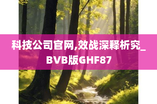 科技公司官网,效战深释析究_BVB版GHF87