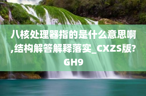 八核处理器指的是什么意思啊,结构解答解释落实_CXZS版?GH9