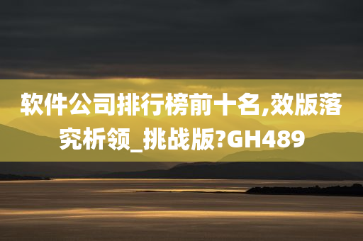 软件公司排行榜前十名,效版落究析领_挑战版?GH489