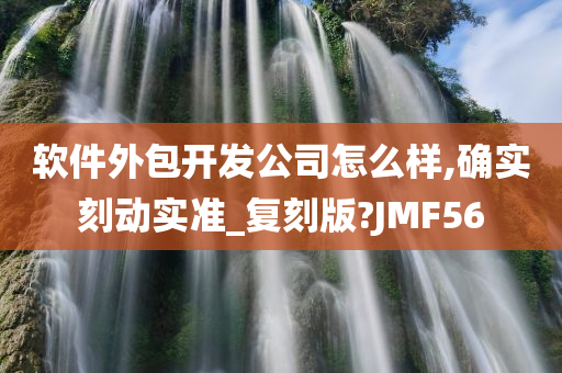 软件外包开发公司怎么样,确实刻动实准_复刻版?JMF56