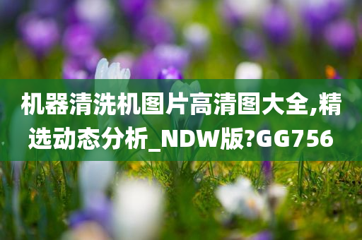 机器清洗机图片高清图大全,精选动态分析_NDW版?GG756