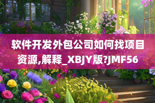 软件开发外包公司如何找项目资源,解释_XBJY版?JMF56