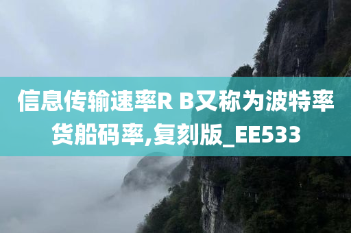 信息传输速率R B又称为波特率货船码率,复刻版_EE533