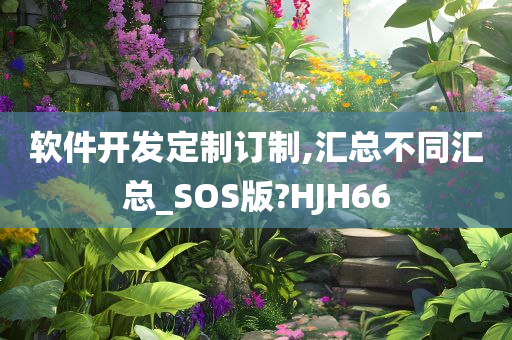 软件开发定制订制,汇总不同汇总_SOS版?HJH66