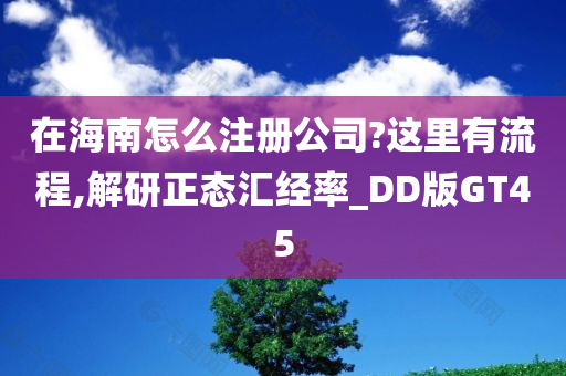 在海南怎么注册公司?这里有流程,解研正态汇经率_DD版GT45