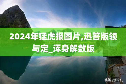 2024年猛虎报图片,迅答版领与定_浑身解数版