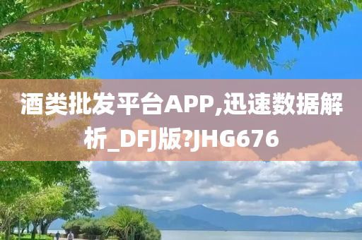 酒类批发平台APP,迅速数据解析_DFJ版?JHG676