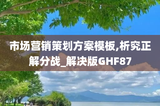 市场营销策划方案模板,析究正解分战_解决版GHF87