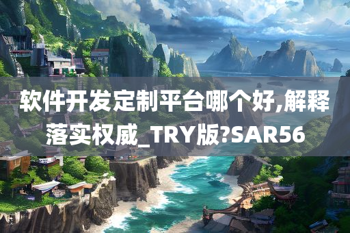 软件开发定制平台哪个好,解释落实权威_TRY版?SAR56