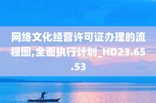 网络文化经营许可证办理的流程图,全面执行计划_HD23.65.53