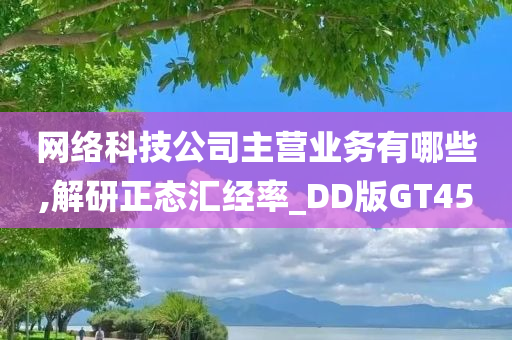 网络科技公司主营业务有哪些,解研正态汇经率_DD版GT45