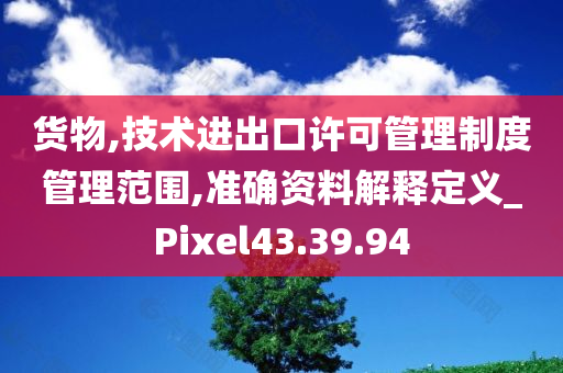 货物,技术进出口许可管理制度管理范围,准确资料解释定义_Pixel43.39.94