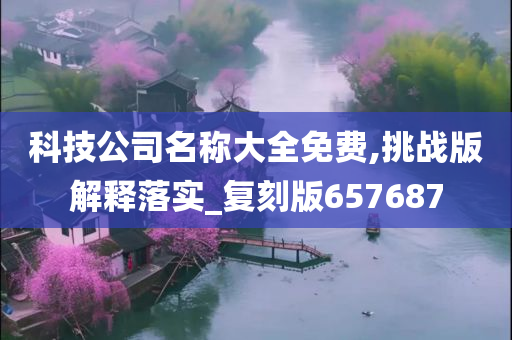 科技公司名称大全免费,挑战版解释落实_复刻版657687