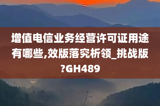 增值电信业务经营许可证用途有哪些,效版落究析领_挑战版?GH489