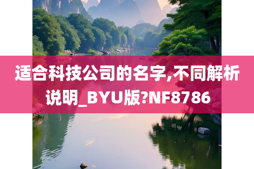 适合科技公司的名字,不同解析说明_BYU版?NF8786