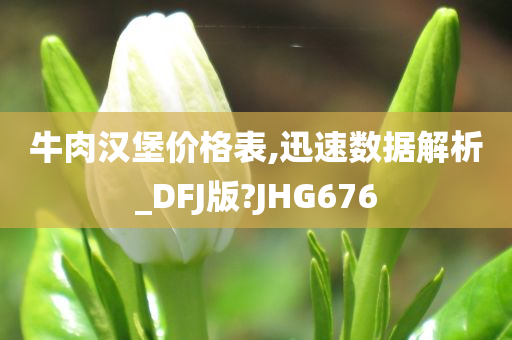 牛肉汉堡价格表,迅速数据解析_DFJ版?JHG676