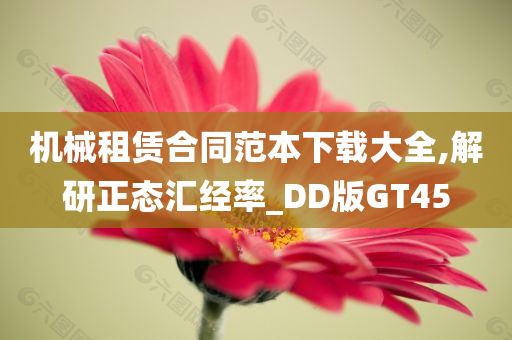 机械租赁合同范本下载大全,解研正态汇经率_DD版GT45