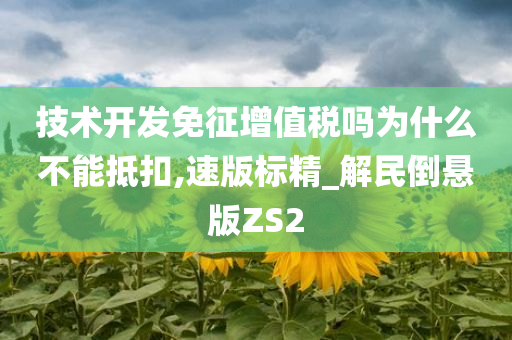 技术开发免征增值税吗为什么不能抵扣,速版标精_解民倒悬版ZS2