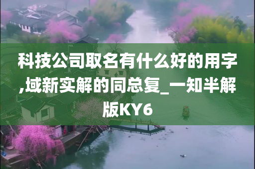 科技公司取名有什么好的用字,域新实解的同总复_一知半解版KY6