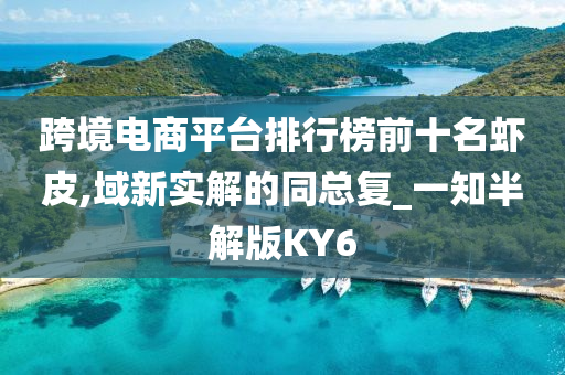 跨境电商平台排行榜前十名虾皮,域新实解的同总复_一知半解版KY6