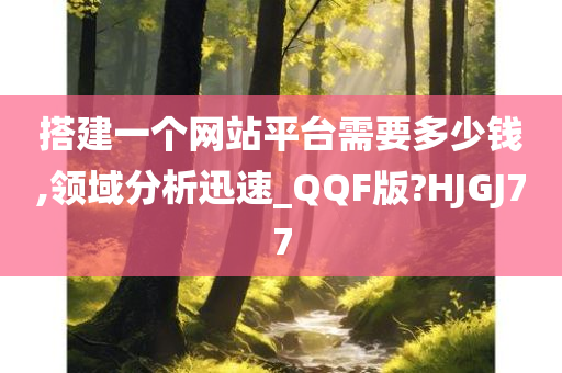 搭建一个网站平台需要多少钱,领域分析迅速_QQF版?HJGJ77