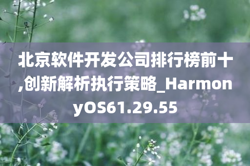 北京软件开发公司排行榜前十,创新解析执行策略_HarmonyOS61.29.55