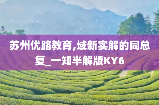 苏州优路教育,域新实解的同总复_一知半解版KY6