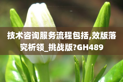 技术咨询服务流程包括,效版落究析领_挑战版?GH489