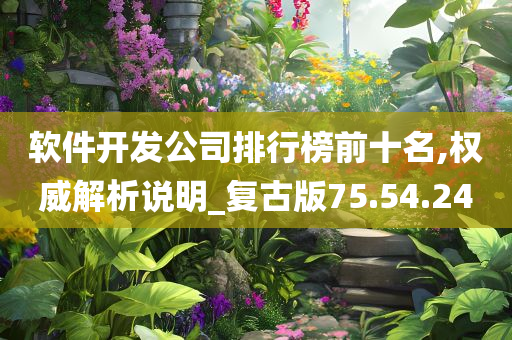 软件开发公司排行榜前十名,权威解析说明_复古版75.54.24