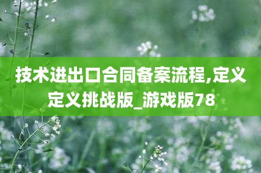 技术进出口合同备案流程,定义定义挑战版_游戏版78