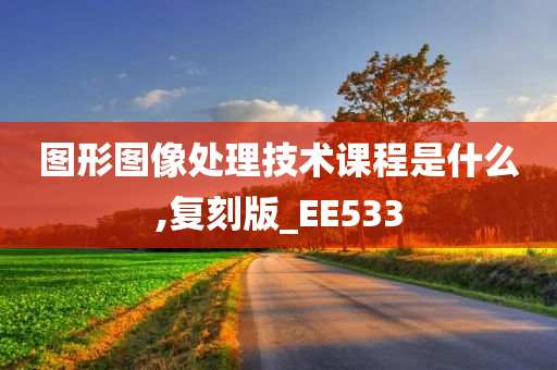 图形图像处理技术课程是什么,复刻版_EE533