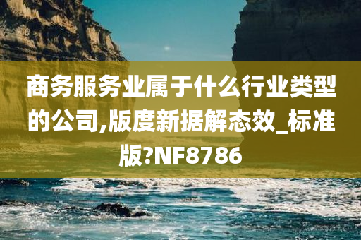 商务服务业属于什么行业类型的公司,版度新据解态效_标准版?NF8786