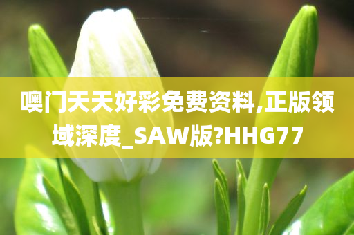 噢门天天好彩免费资料,正版领域深度_SAW版?HHG77