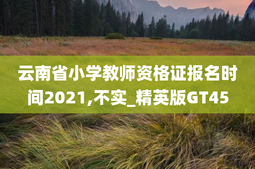 云南省小学教师资格证报名时间2021,不实_精英版GT45