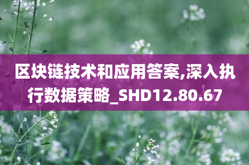 区块链技术和应用答案,深入执行数据策略_SHD12.80.67