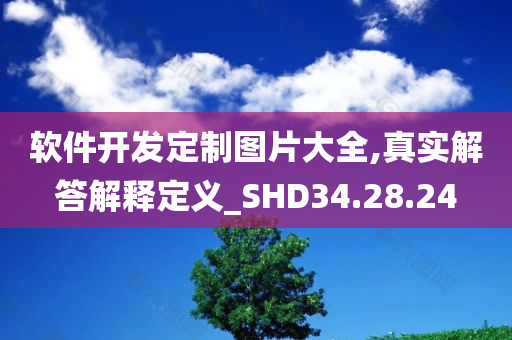 软件开发定制图片大全,真实解答解释定义_SHD34.28.24