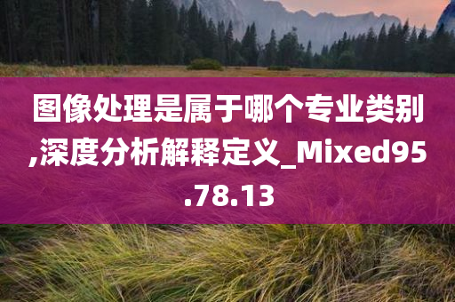 图像处理是属于哪个专业类别,深度分析解释定义_Mixed95.78.13