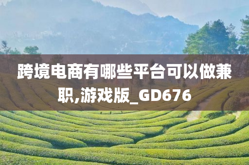 跨境电商有哪些平台可以做兼职,游戏版_GD676