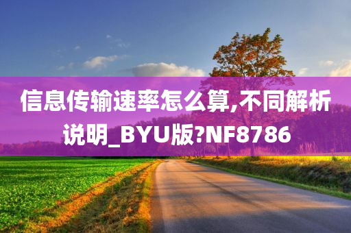 信息传输速率怎么算,不同解析说明_BYU版?NF8786