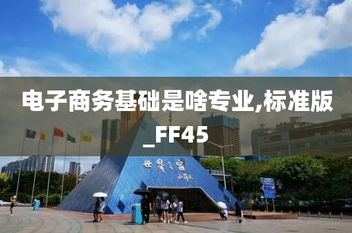 电子商务基础是啥专业,标准版_FF45